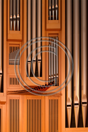Temple Organ